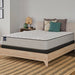 Spring Bloom Mattress - Furniture World SW (WA)