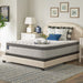 Spring Bloom Mattress - Furniture World SW (WA)