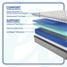 Spring Bloom Mattress - Furniture World SW (WA)