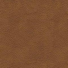 Carianna Oversized Chair - Furniture World SW (WA)