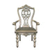 Catalonia Arm Chair in Platinum Gold (Set of 2) image