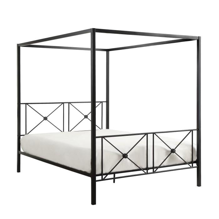 Rapa Queen Platform Bed - Furniture World SW (WA)