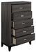 Davi Chest in Gray 1645-9 - Furniture World SW (WA)