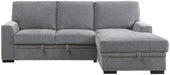 Morelia 2pc Sectional with Pull Out Bed and Right Chaise in Dark Gray 9468DG2RC2L - Furniture World SW (WA)