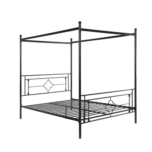 Hosta Queen Platform Bed - Furniture World SW (WA)