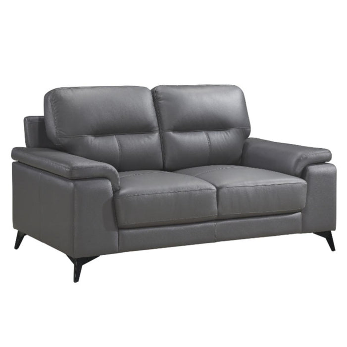 Mischa Loveseat in Dark Gray 9514DGY-2