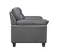 Denizen Chair in Dark Gray 9537DGY-1 - Furniture World SW (WA)