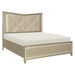 Bijou (3) Queen Platform Bed with LED Lighting and Footboard Storage - Furniture World SW (WA)