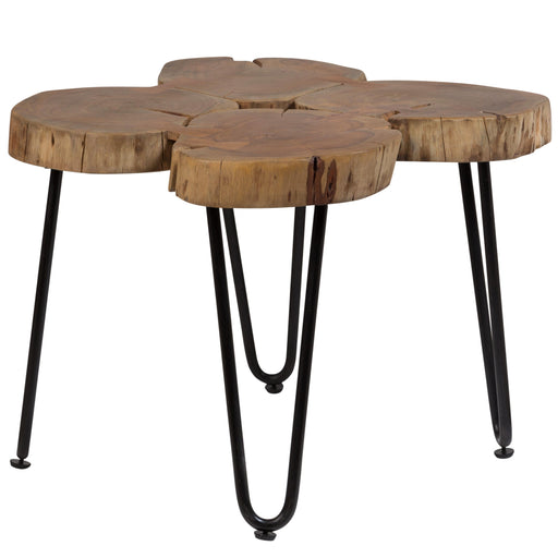 DESCHUTES 4 LOG COFFEE TABLE image