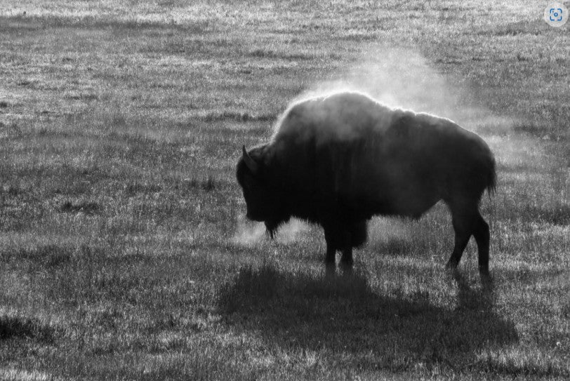 All Classy Art - Glass Artwork - Black Friday Super Deals - Furniture World SW (WA)