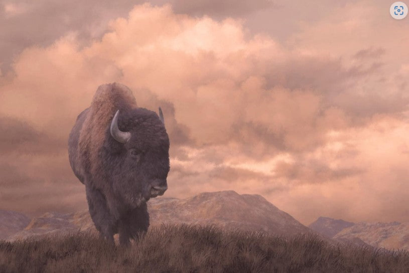 All Classy Art - Glass Artwork - Black Friday Super Deals - Furniture World SW (WA)