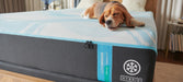 Tempur-Pedic LuxeBreeze Medium Hybrid Mattress - Furniture World SW (WA)