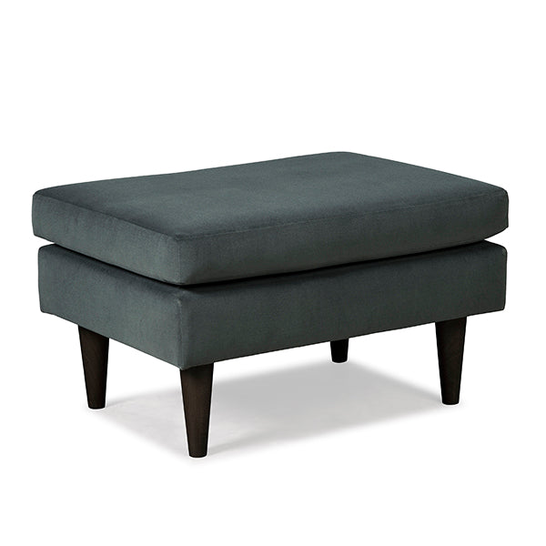 F10 LEATHER OTTOMAN- F10ELU image